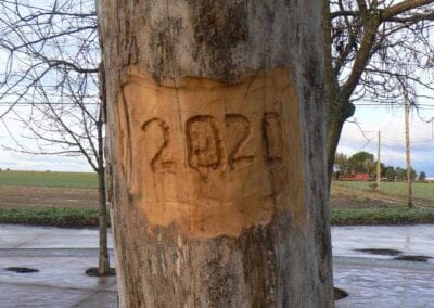 Ayuntamiento Villaseca de Uceda