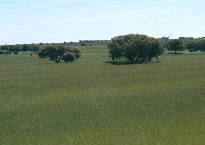 Ayuntamiento Villaseca de Uceda