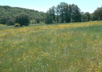 Ayuntamiento Villaseca de Uceda