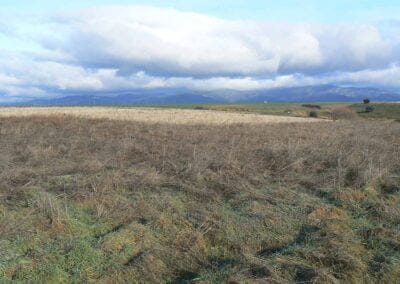 Ayuntamiento Villaseca de Uceda