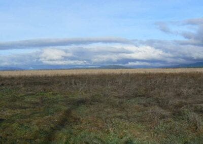 Ayuntamiento Villaseca de Uceda