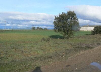 Ayuntamiento Villaseca de Uceda