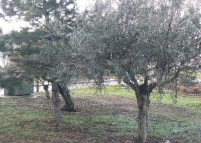 Ayuntamiento Villaseca de Uceda